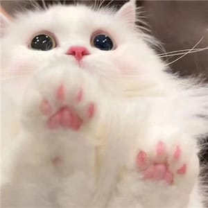 Ảnh đại diện người dùng
